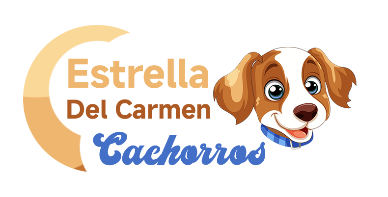 estrelladelcarmencachorros.mx